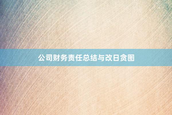 公司财务责任总结与改日贪图